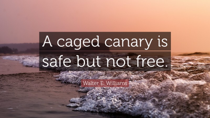Walter E. Williams Quote: “A caged canary is safe but not free.”