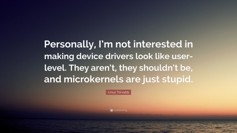 Linus Torvalds Quote: “Personally, I’m not interested in making device drivers look like user-level. They aren’t, they shouldn’t be, and microkernels are just stupid.”