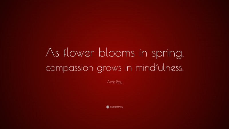 Amit Ray Quote: “As flower blooms in spring, compassion grows in mindfulness.”