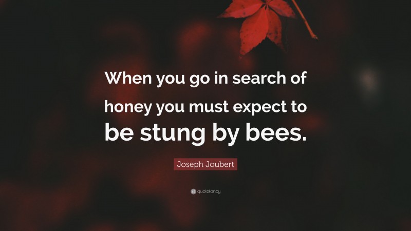 Joseph Joubert Quote: “When you go in search of honey you must expect to be stung by bees.”