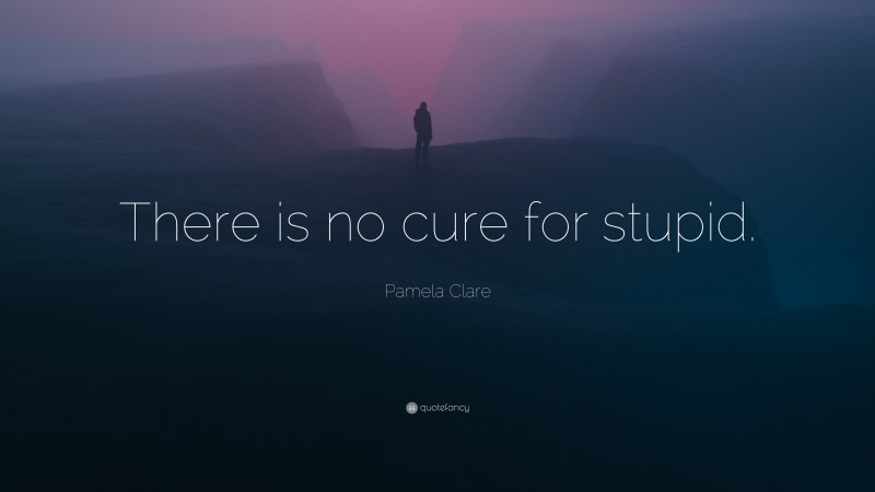 Pamela Clare Quote: “There is no cure for stupid.”