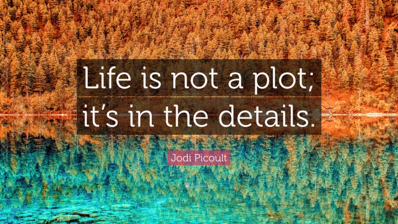 Jodi Picoult Quote: “Life is not a plot; it’s in the details.”