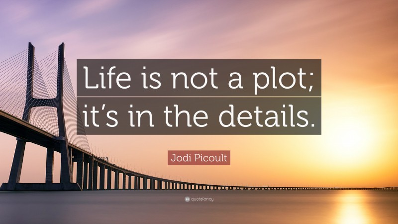 Jodi Picoult Quote: “Life is not a plot; it’s in the details.”