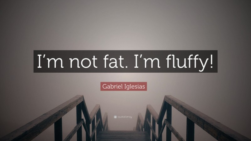 Gabriel Iglesias Quote: “I’m not fat. I’m fluffy!”