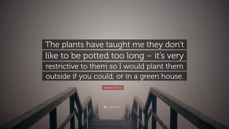 Doreen Virtue Quote: “The plants have taught me they don’t like to be potted too long – it’s very restrictive to them so I would plant them outside if you could, or in a green house.”