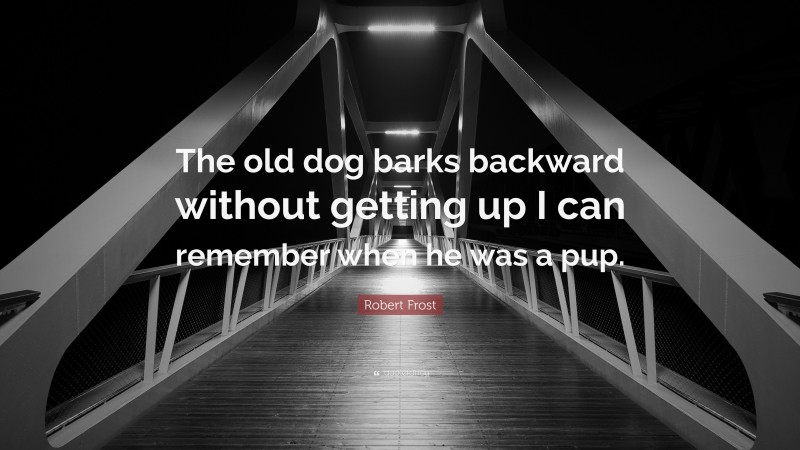 Robert Frost Quote: “The old dog barks backward without getting up I can remember when he was a pup.”