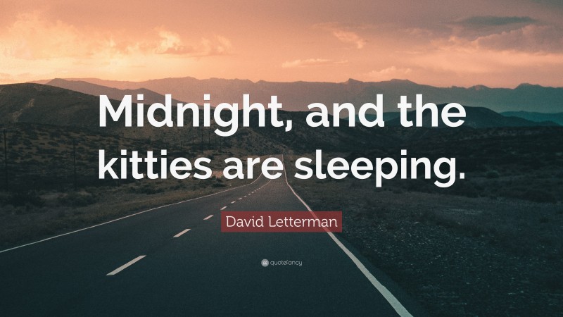 David Letterman Quote: “Midnight, and the kitties are sleeping.”