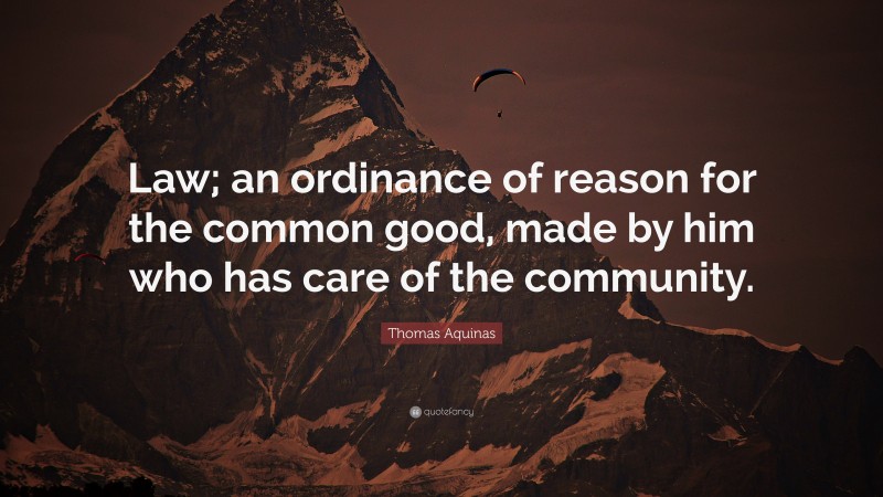 Thomas Aquinas Quote: “Law; an ordinance of reason for the common good, made by him who has care of the community.”