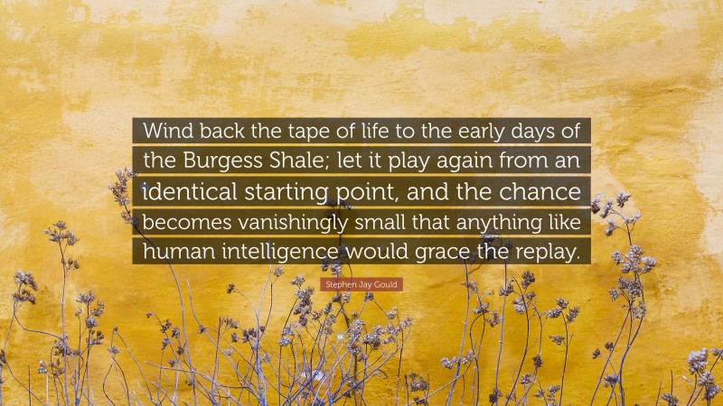 Stephen Jay Gould Quote: “Wind back the tape of life to the early days of the Burgess Shale; let it play again from an identical starting point, and the chance becomes vanishingly small that anything like human intelligence would grace the replay.”