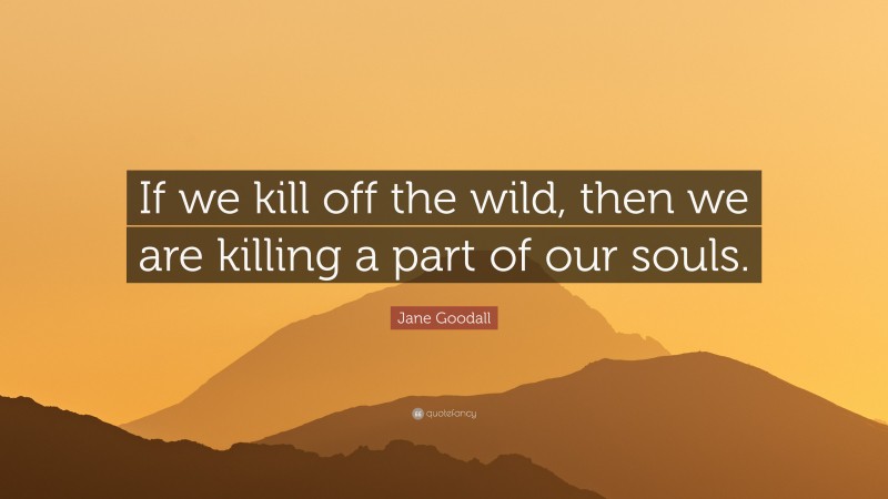 Jane Goodall Quote: “If we kill off the wild, then we are killing a part of our souls.”