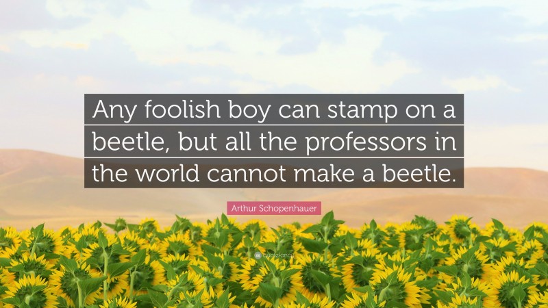Arthur Schopenhauer Quote: “Any foolish boy can stamp on a beetle, but all the professors in the world cannot make a beetle.”