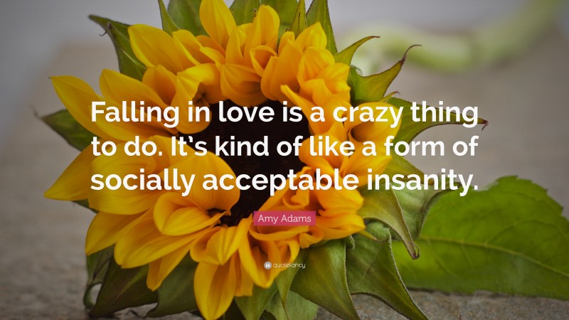 Amy Adams Quote: “Falling in love is a crazy thing to do. It’s kind of like a form of socially acceptable insanity.”
