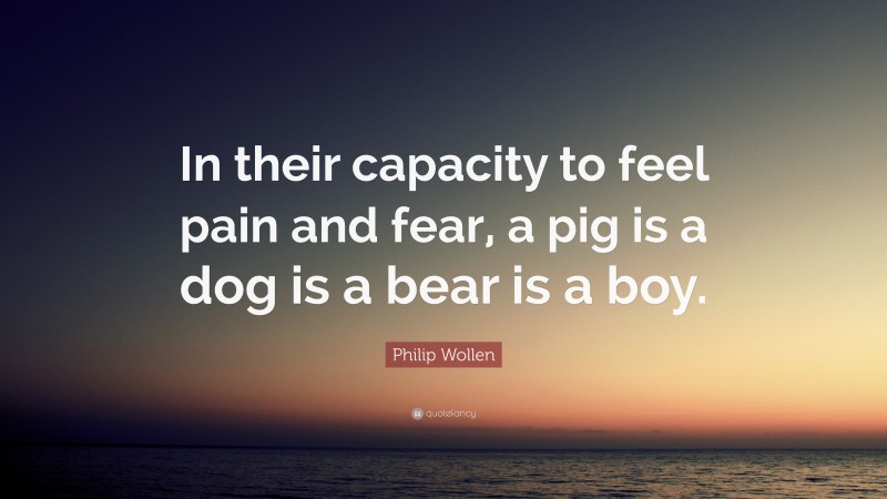 Philip Wollen Quote: “In their capacity to feel pain and fear, a pig is a dog is a bear is a boy.”