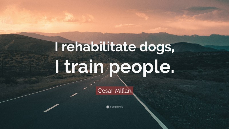 Cesar Millan Quote: “I rehabilitate dogs, I train people.”