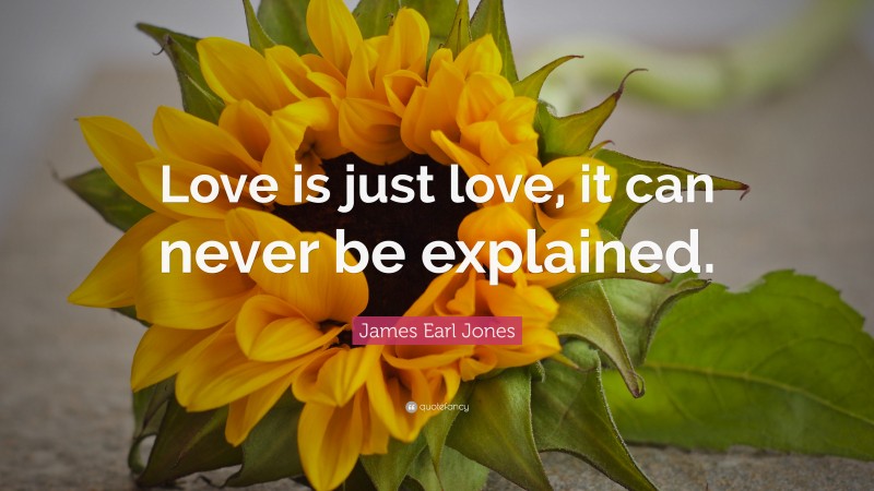 James Earl Jones Quote: “Love is just love, it can never be explained.”