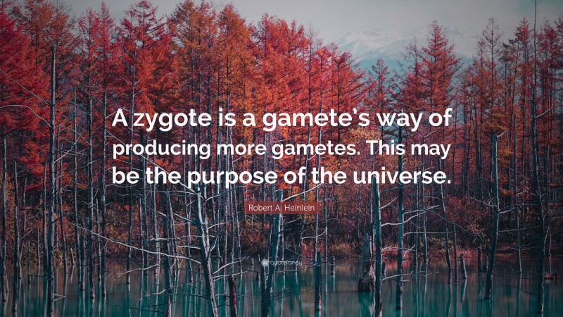 Robert A. Heinlein Quote: “A zygote is a gamete’s way of producing more gametes. This may be the purpose of the universe.”