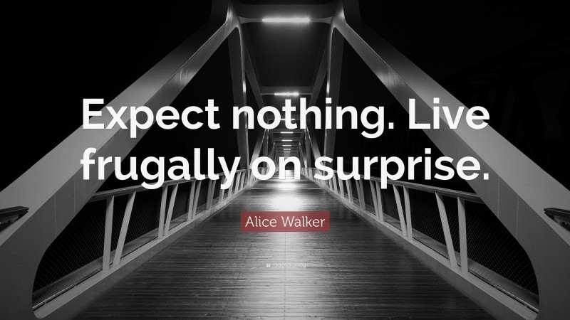 Alice Walker Quote: “Expect nothing. Live frugally on surprise.”