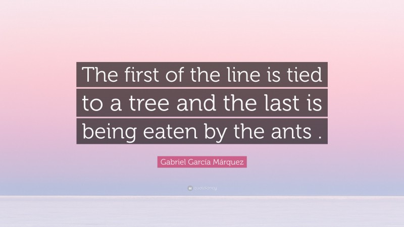 Gabriel Garcí­a Márquez Quote: “The first of the line is tied to a tree and the last is being eaten by the ants .”