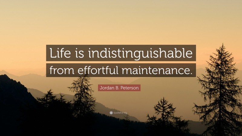 Jordan B. Peterson Quote: “Life is indistinguishable from effortful maintenance.”
