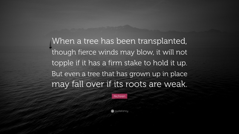 Nichiren Quote: “When a tree has been transplanted, though fierce winds may blow, it will not topple if it has a firm stake to hold it up. But even a tree that has grown up in place may fall over if its roots are weak.”