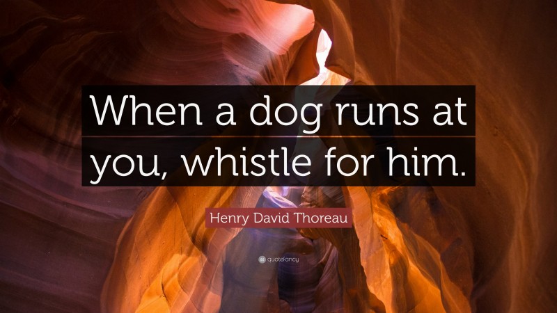 Henry David Thoreau Quote: “When a dog runs at you, whistle for him.”