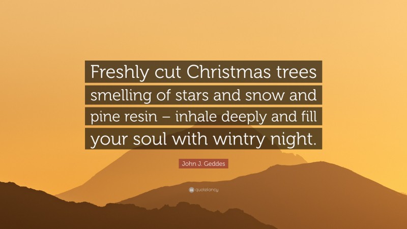 John J. Geddes Quote: “Freshly cut Christmas trees smelling of stars and snow and pine resin – inhale deeply and fill your soul with wintry night.”