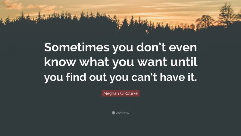 Meghan O'Rourke Quote: “Sometimes you don’t even know what you want until you find out you can’t have it.”
