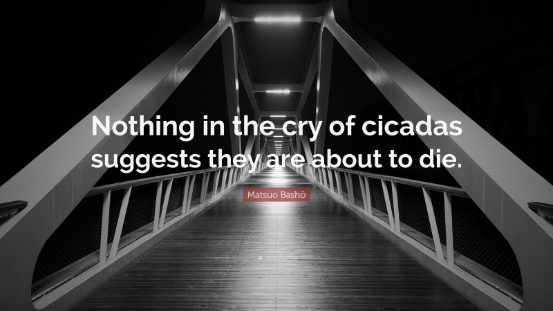 Matsuo Bashō Quote: “Nothing in the cry of cicadas suggests they are about to die.”