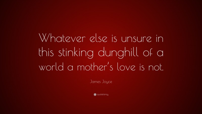 James Joyce Quote: “Whatever else is unsure in this stinking dunghill of a world a mother’s love is not.”