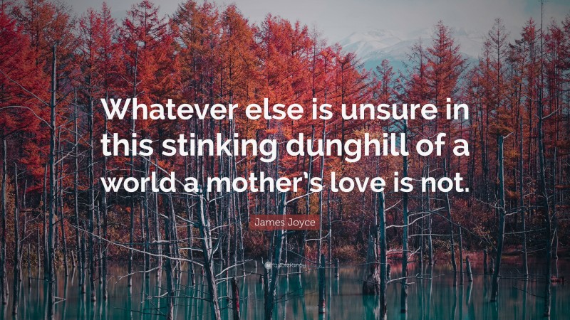 James Joyce Quote: “Whatever else is unsure in this stinking dunghill of a world a mother’s love is not.”