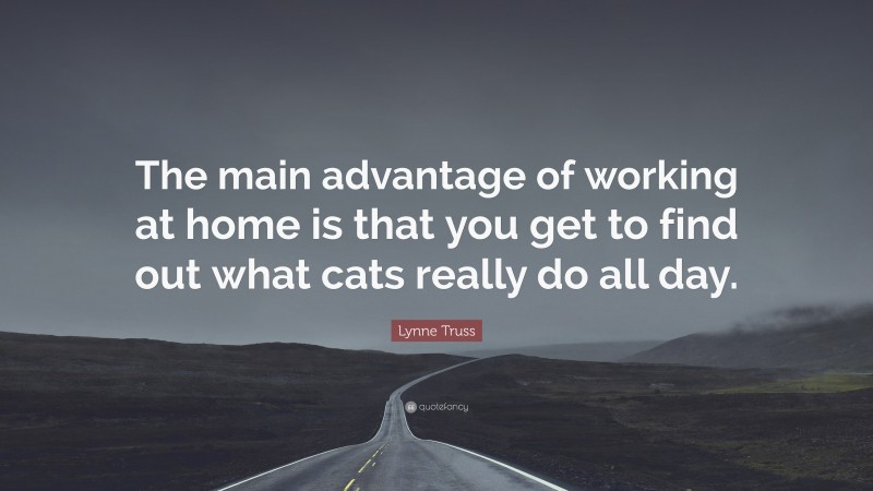 Lynne Truss Quote: “The main advantage of working at home is that you get to find out what cats really do all day.”