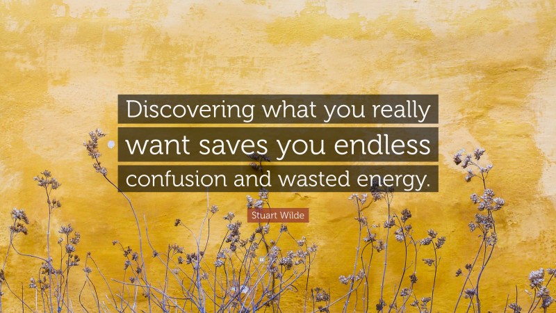 Stuart Wilde Quote: “Discovering what you really want saves you endless confusion and wasted energy.”