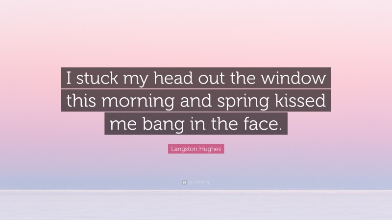 Langston Hughes Quote: “I stuck my head out the window this morning and spring kissed me bang in the face.”