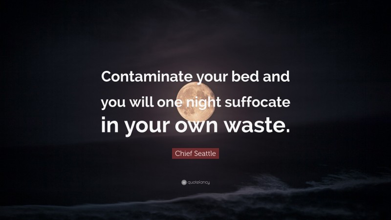 Chief Seattle Quote: “Contaminate your bed and you will one night suffocate in your own waste.”