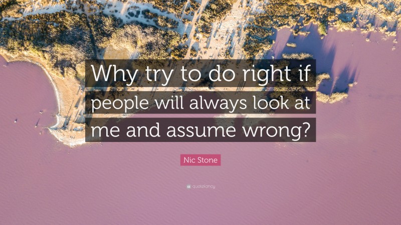 Nic Stone Quote: “Why try to do right if people will always look at me and assume wrong?”