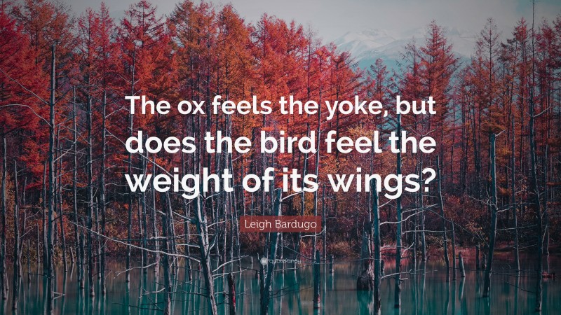 Leigh Bardugo Quote: “The ox feels the yoke, but does the bird feel the weight of its wings?”