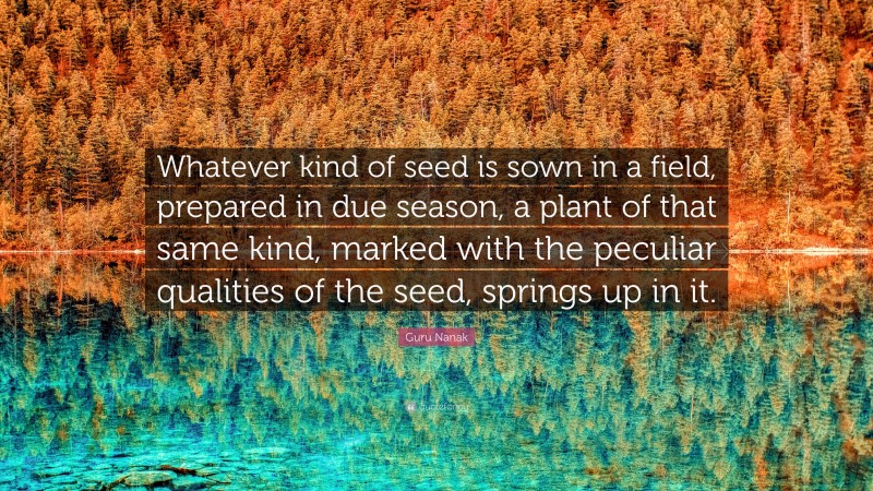 Guru Nanak Quote: “Whatever kind of seed is sown in a field, prepared in due season, a plant of that same kind, marked with the peculiar qualities of the seed, springs up in it.”