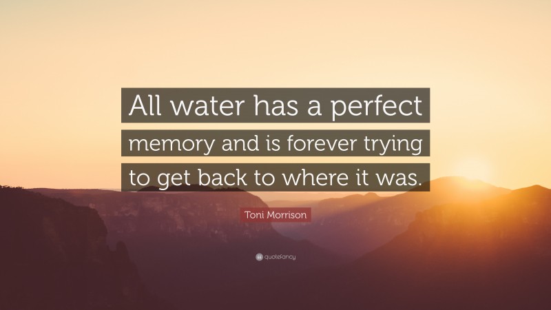 Toni Morrison Quote: “All water has a perfect memory and is forever trying to get back to where it was.”