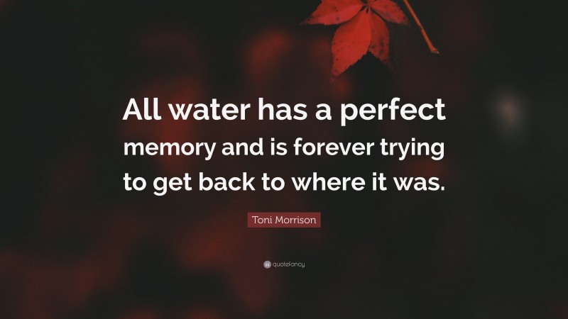Toni Morrison Quote: “All water has a perfect memory and is forever trying to get back to where it was.”