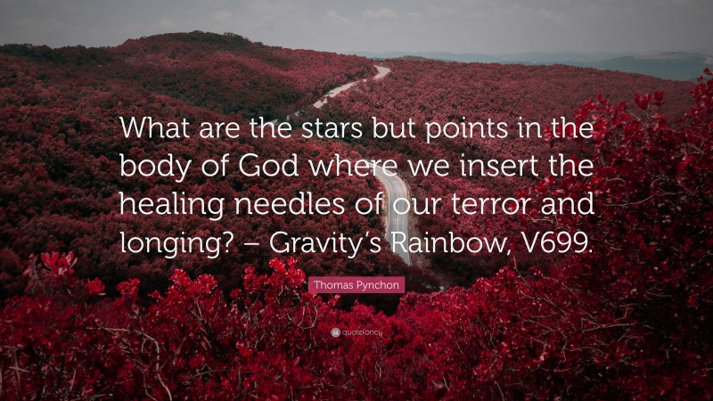 Thomas Pynchon Quote: “What are the stars but points in the body of God where we insert the healing needles of our terror and longing? – Gravity’s Rainbow, V699.”