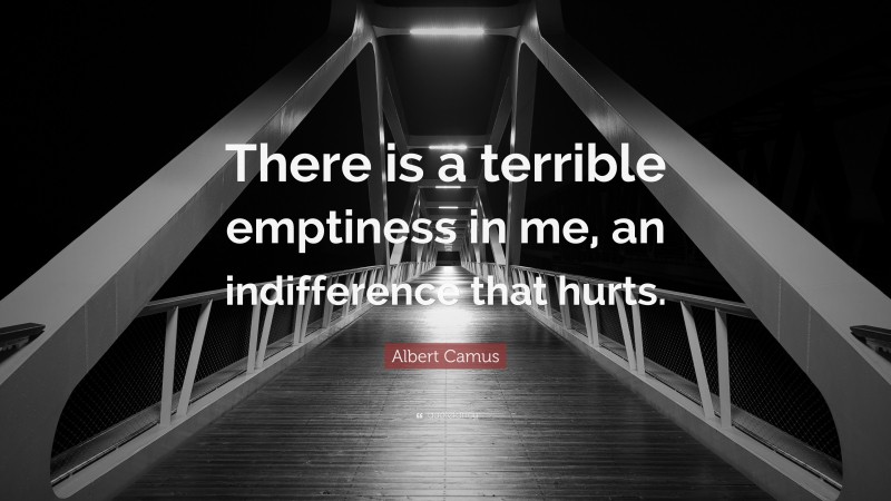 Albert Camus Quote: “There is a terrible emptiness in me, an indifference that hurts.”