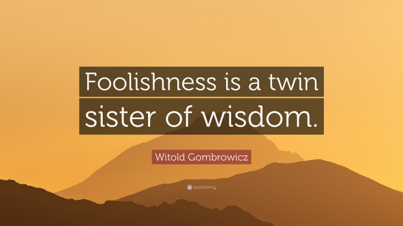Witold Gombrowicz Quote: “Foolishness is a twin sister of wisdom.”
