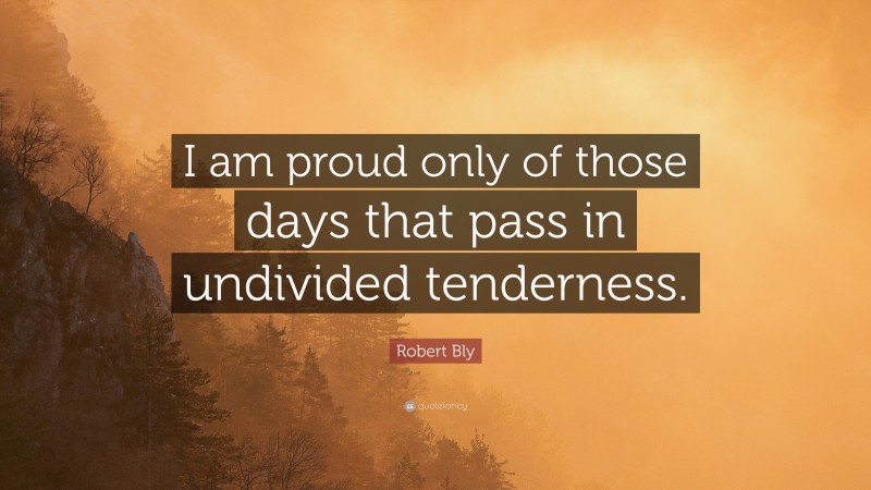 Robert Bly Quote: “I am proud only of those days that pass in undivided tenderness.”