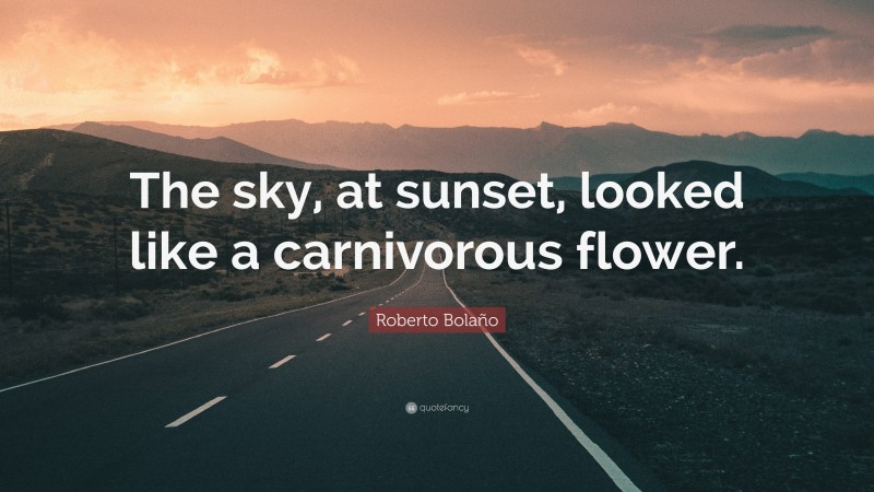 Roberto Bolaño Quote: “The sky, at sunset, looked like a carnivorous flower.”