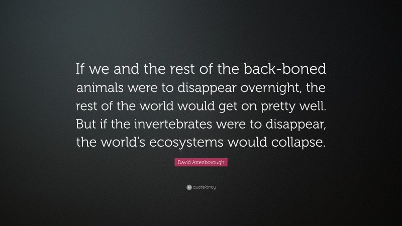 David Attenborough Quote: “If we and the rest of the back-boned animals were to disappear overnight, the rest of the world would get on pretty well. But if the invertebrates were to disappear, the world’s ecosystems would collapse.”