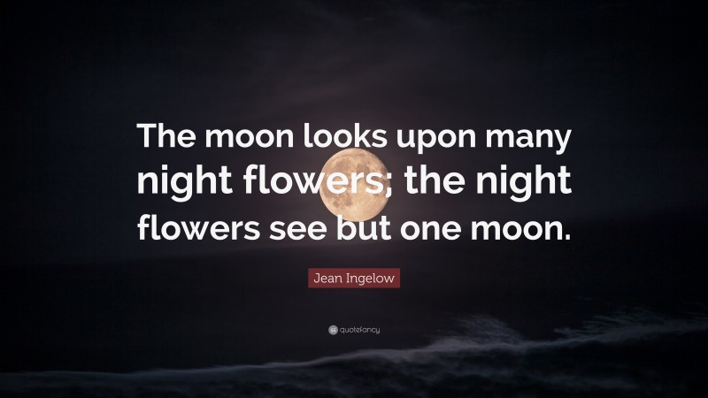 Jean Ingelow Quote: “The moon looks upon many night flowers; the night flowers see but one moon.”