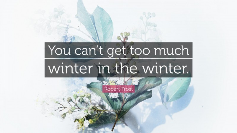 Robert Frost Quote: “You can’t get too much winter in the winter.”