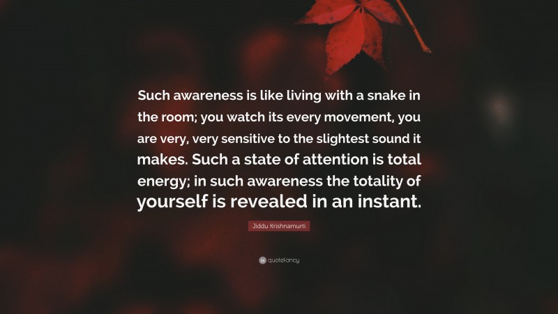 Jiddu Krishnamurti Quote: “Such awareness is like living with a snake in the room; you watch its every movement, you are very, very sensitive to the slightest sound it makes. Such a state of attention is total energy; in such awareness the totality of yourself is revealed in an instant.”
