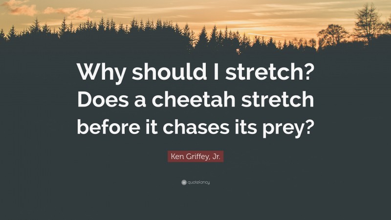 Ken Griffey, Jr. Quote: “Why should I stretch? Does a cheetah stretch before it chases its prey?”