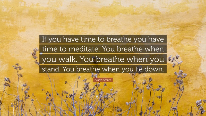 Ajahn Amaro Quote: “If you have time to breathe you have time to meditate. You breathe when you walk. You breathe when you stand. You breathe when you lie down.”